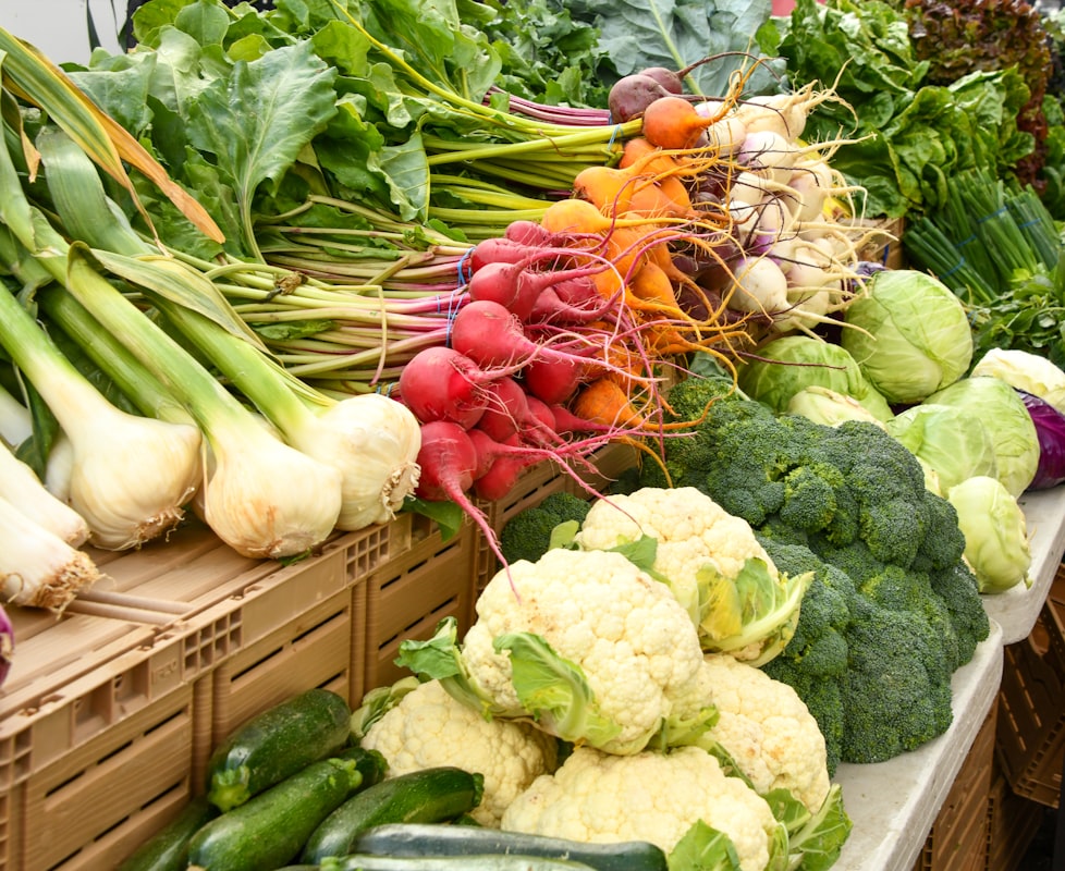 Bayas frescas y frutas del bosque